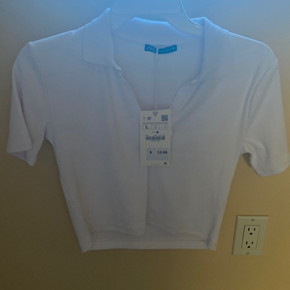 Zara crop top